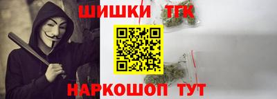 крисы Абакан